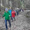 03 bei Waldhausen - Schättere-Trasse